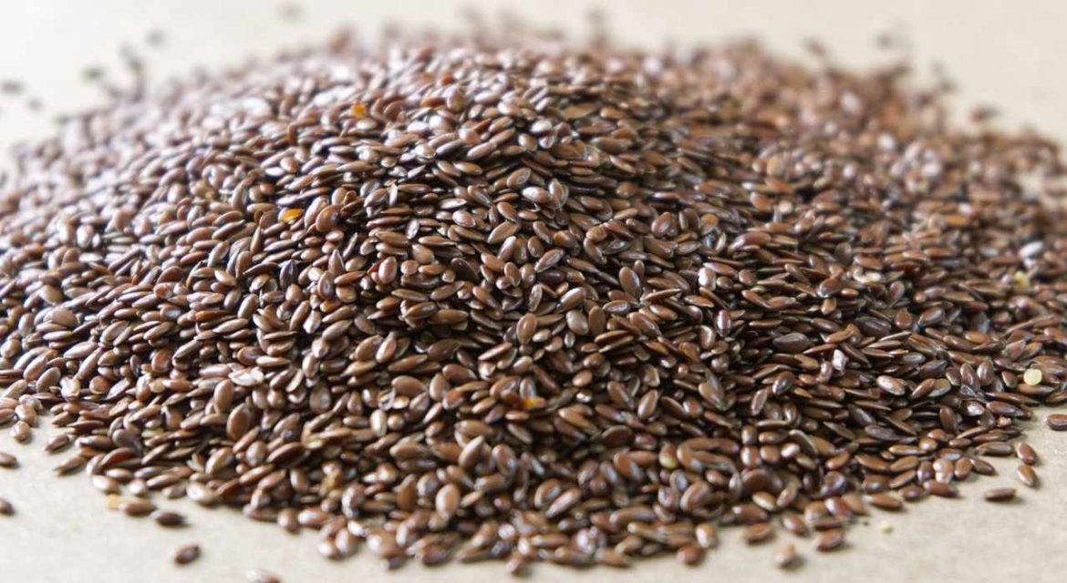 Les grains de Chia