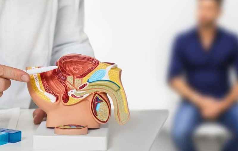 Des solutions au-delà des médicaments 123 Phyto Des solutions au-delà des médicaments 123 Phyto